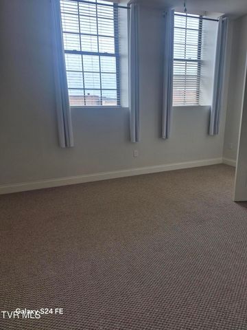 116 Tipton Street 209, Johnson City, TN 37604