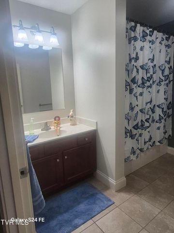 116 Tipton Street 209, Johnson City, TN 37604
