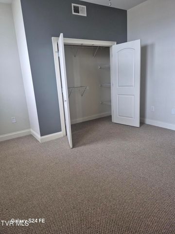 116 Tipton Street 209, Johnson City, TN 37604