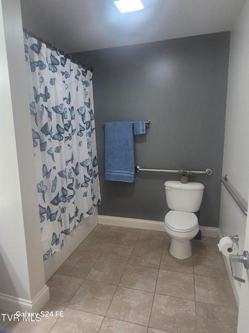 116 Tipton Street 209, Johnson City, TN 37604