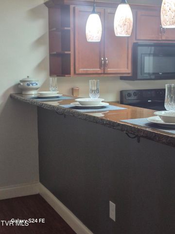 116 Tipton Street 209, Johnson City, TN 37604