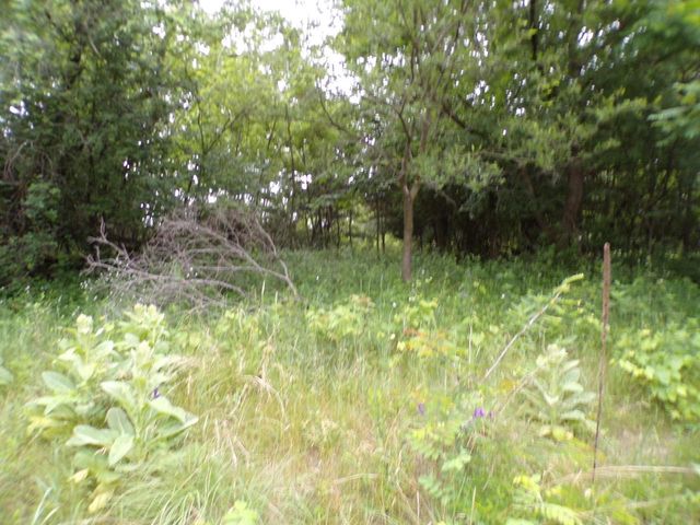 N1203 COUNTY RD N, Neshkoro, WI 54960