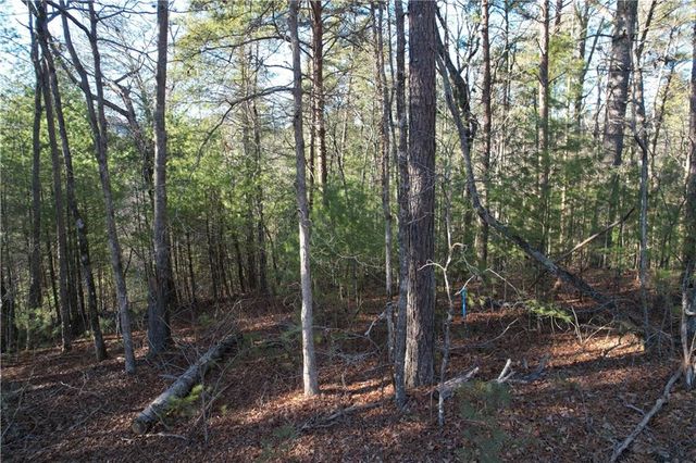 01 Miller Rock Road, Ellijay, GA 30540