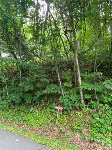 00 Aaron Way 21, Waynesville, NC 28786