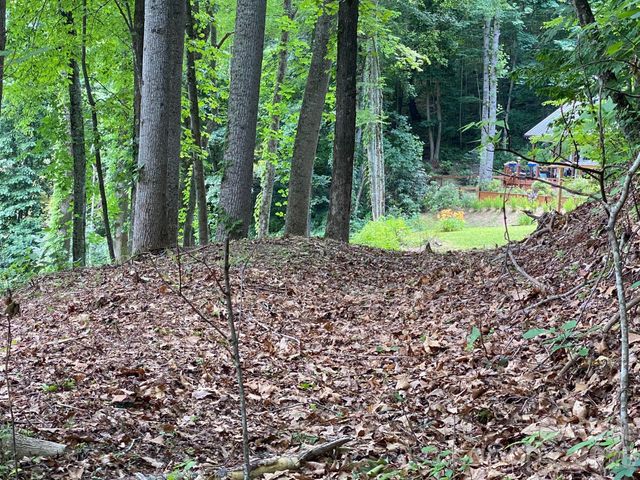 00 Aaron Way 21, Waynesville, NC 28786
