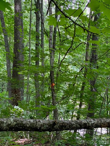 00 Aaron Way 21, Waynesville, NC 28786