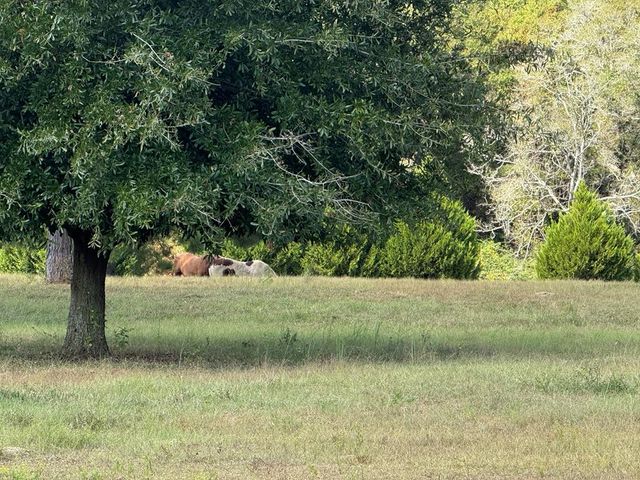 3115 Cumbie Road, Newton, AL 36352