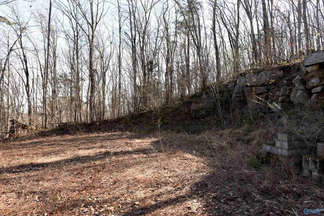 208 Hartside Road, Owens Cross Roads, AL 35763