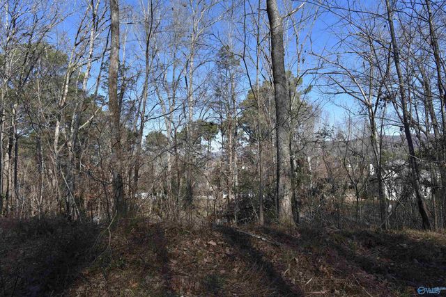 208 Hartside Road, Owens Cross Roads, AL 35763