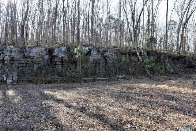 208 Hartside Road, Owens Cross Roads, AL 35763