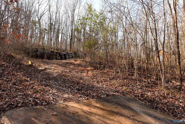 208 Hartside Road, Owens Cross Roads, AL 35763