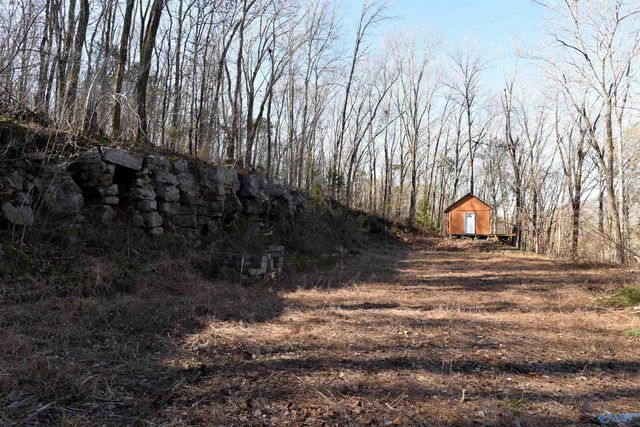 208 Hartside Road, Owens Cross Roads, AL 35763