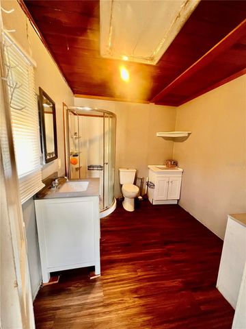 136 ARIZONA AVENUE, Lakeland, FL 33801