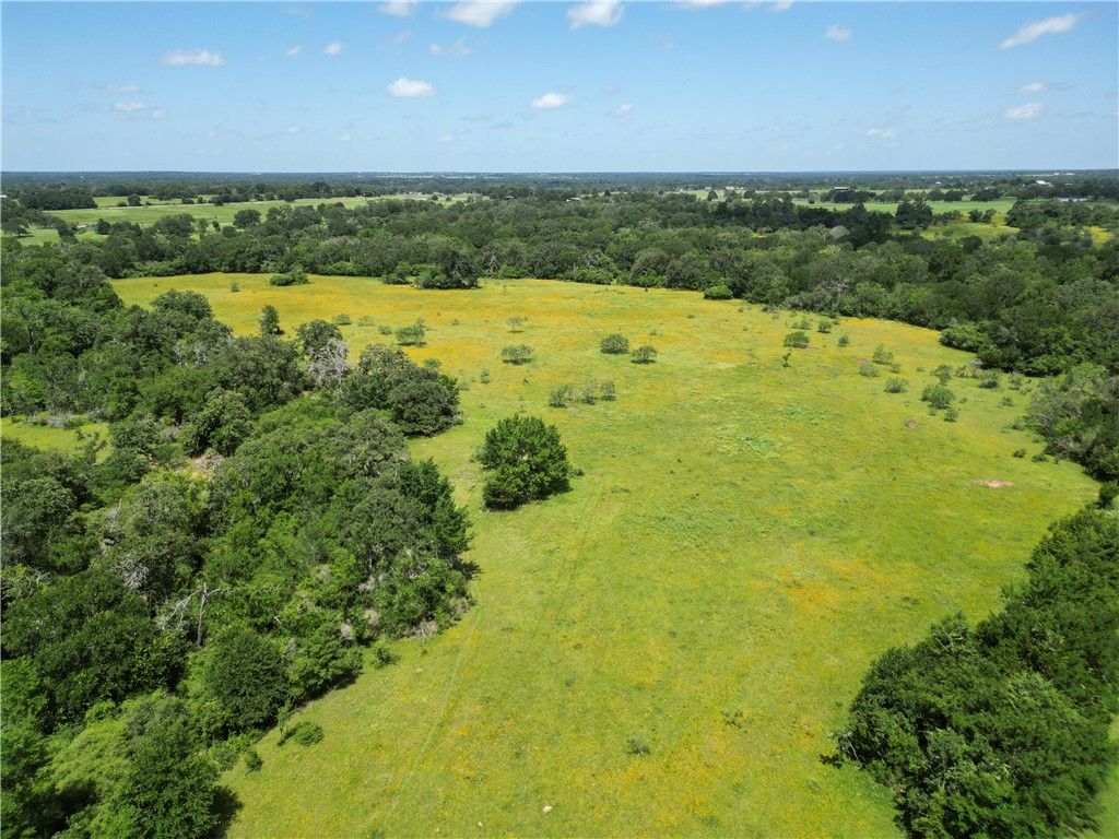 10271 FM 111, Caldwell, TX 77836 — photo 5