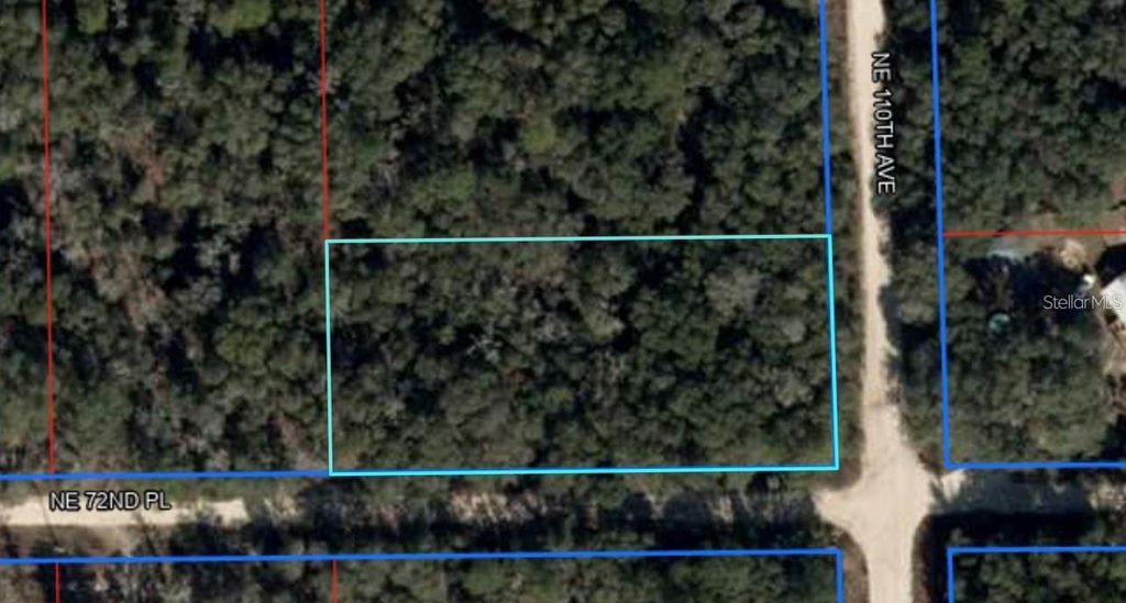 NE 110TH AVENUE, Bronson, FL 32621