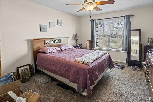 4507 Elk Meadows Lane, Smithton, IL 62285