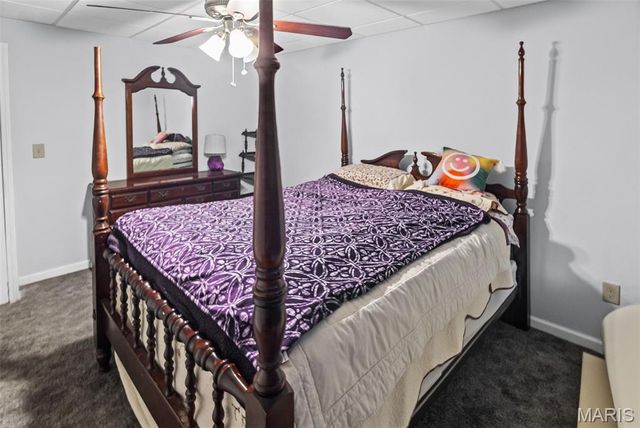 4507 Elk Meadows Lane, Smithton, IL 62285