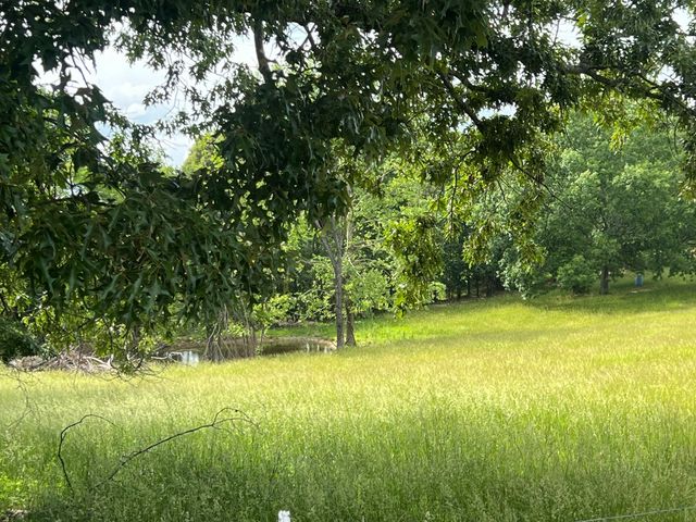 0 W George Durham Rd, Westmoreland, TN 37186
