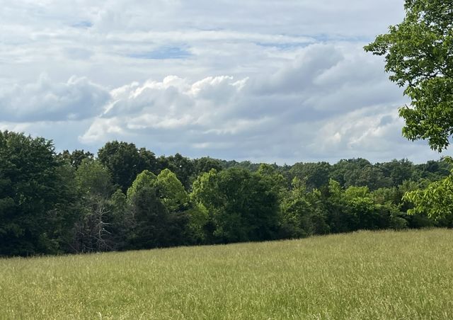 0 W George Durham Rd, Westmoreland, TN 37186