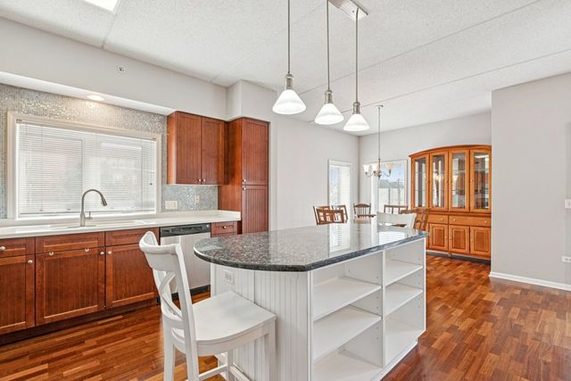 1277 E Thacker Street 303, Des Plaines, IL 60016