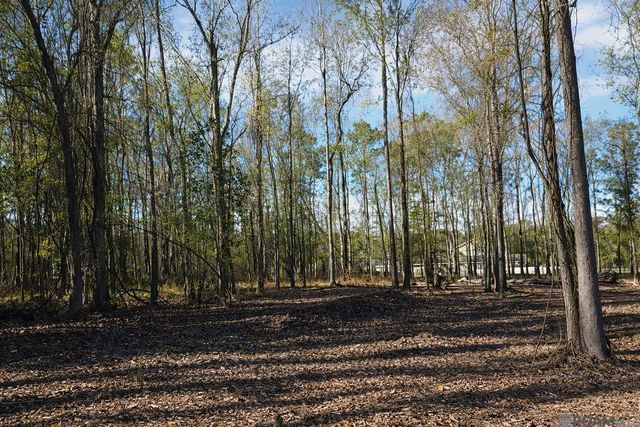 Tract A Picou Rd, Maurepas, LA 70449