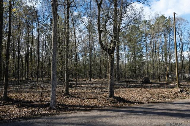 Tract A Picou Rd, Maurepas, LA 70449