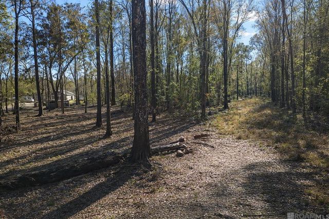Tract A Picou Rd, Maurepas, LA 70449