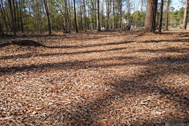 Tract A Picou Rd, Maurepas, LA 70449