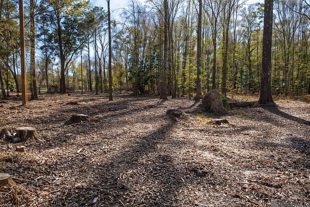 Tract A Picou Rd, Maurepas, LA 70449