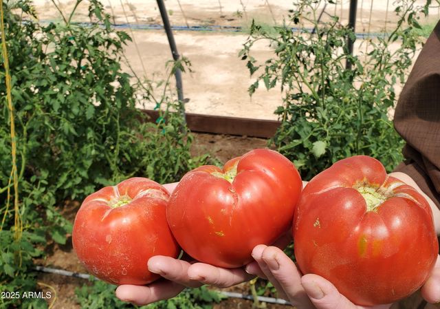 35448 2ND Street, Wenden, AZ 85357