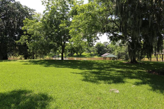 4649 County Road 929c, Brazoria, TX 77422