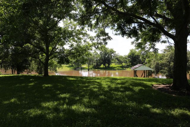 4649 County Road 929c, Brazoria, TX 77422