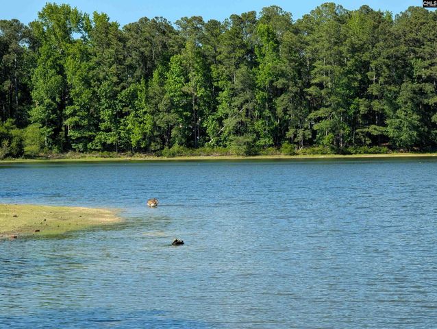 309 E Park Shore Drive, Columbia, SC 29223