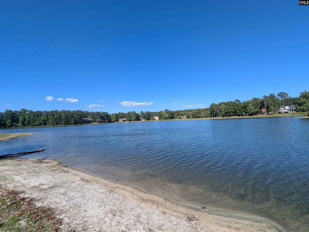 309 E Park Shore Drive, Columbia, SC 29223