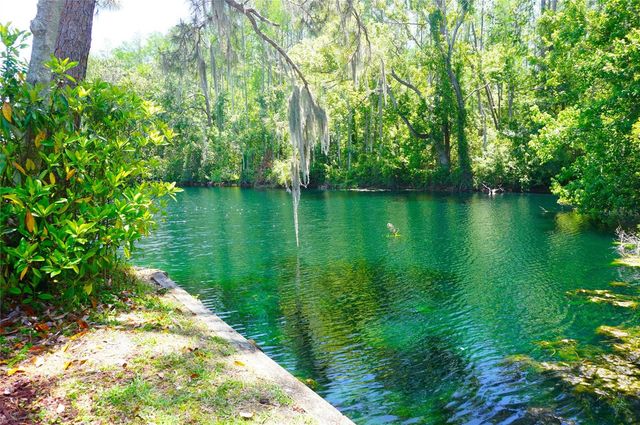 1873 MAZO MANOR T9, Lutz, FL 33558