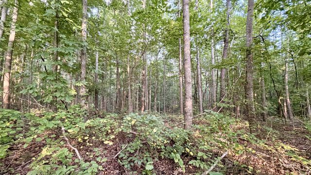 309 Charley Davis Rd, Goodspring, TN 38460