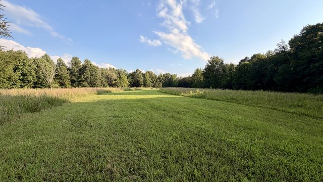 309 Charley Davis Rd, Goodspring, TN 38460