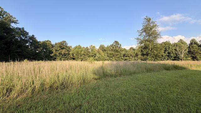 309 Charley Davis Rd, Goodspring, TN 38460