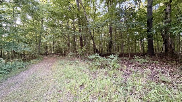 309 Charley Davis Rd, Goodspring, TN 38460
