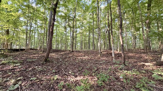 309 Charley Davis Rd, Goodspring, TN 38460