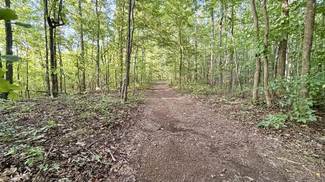 309 Charley Davis Rd, Goodspring, TN 38460