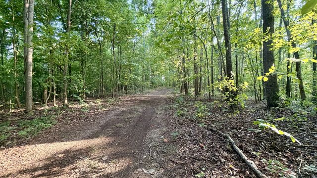 309 Charley Davis Rd, Goodspring, TN 38460