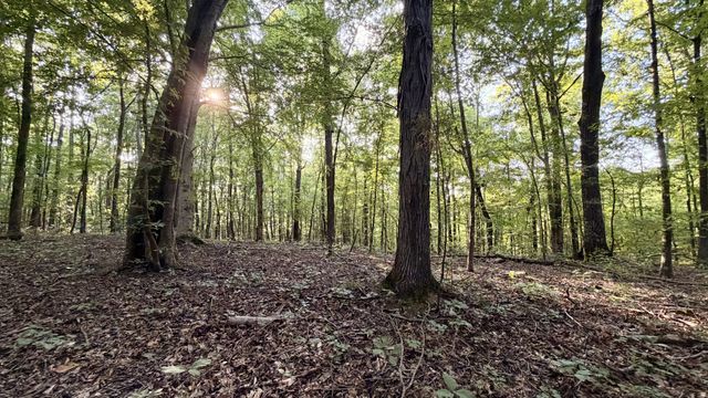 309 Charley Davis Rd, Goodspring, TN 38460