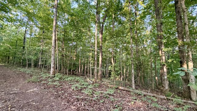 309 Charley Davis Rd, Goodspring, TN 38460