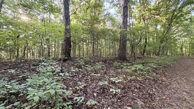 309 Charley Davis Rd, Goodspring, TN 38460