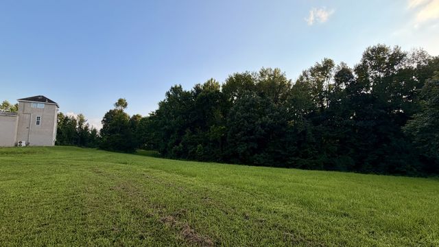 309 Charley Davis Rd, Goodspring, TN 38460
