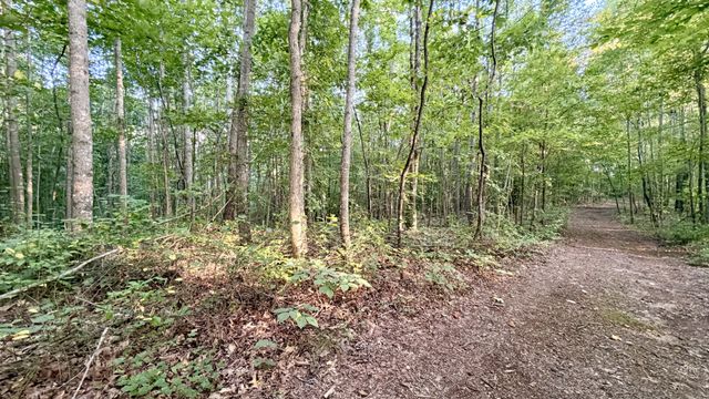 309 Charley Davis Rd, Goodspring, TN 38460