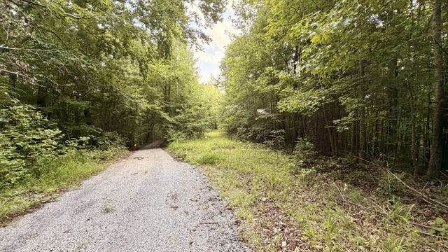 309 Charley Davis Rd, Goodspring, TN 38460