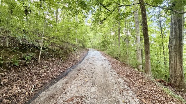 309 Charley Davis Rd, Goodspring, TN 38460