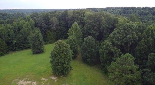 309 Charley Davis Rd, Goodspring, TN 38460